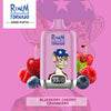 REndM Digital Box 25000 Puffow (Pudełko 10)