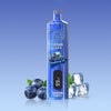 REndM Shisha 25000 Puffow (Pudełko 10)