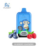 RAndM Digital Box 12000 Puffs (Box of 10) - Blueberry Raspberry