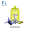 RAndM Digital Box 12000 Puffs (Box of 10) - Blueberry Kiwi